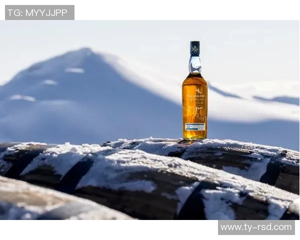 吉尔这位足球球星的传奇生涯与赛场荣耀全面解析